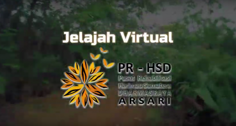 Jelajah Virtual Pusat Rehabilitasi Harimau Sumatera Dharmasraya Versi