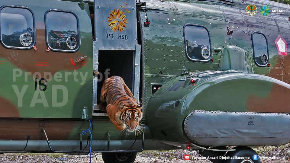 WhatsApp-Image-2022-11-03-at-2.18.48-PM