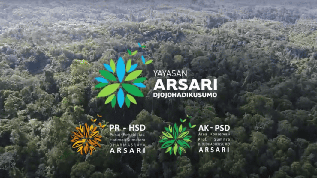 identifikasi_pohon-1056x594