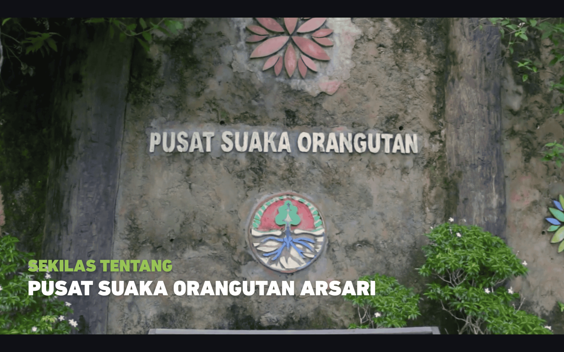 07_Profil PSO Arsari_Lingkungan
