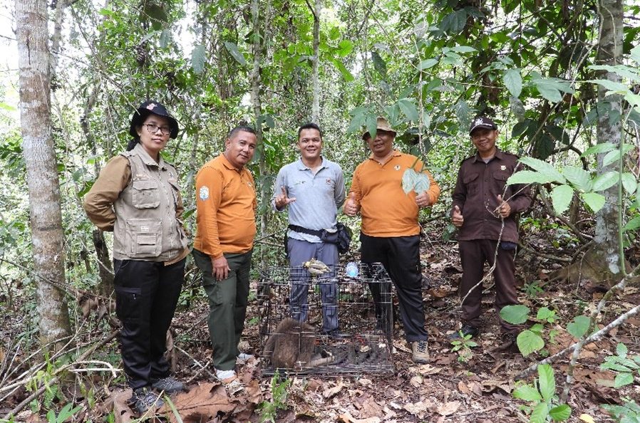 PSO ARSARI DAN BALAI KSDA KALIMANTAN TIMUR KEMBALI MELEPASLIARKAN OWA KALAWAT